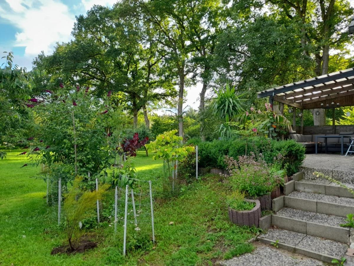 Haus Wald Und Wiese Wohnung Wald Ehndorf Exterior photo